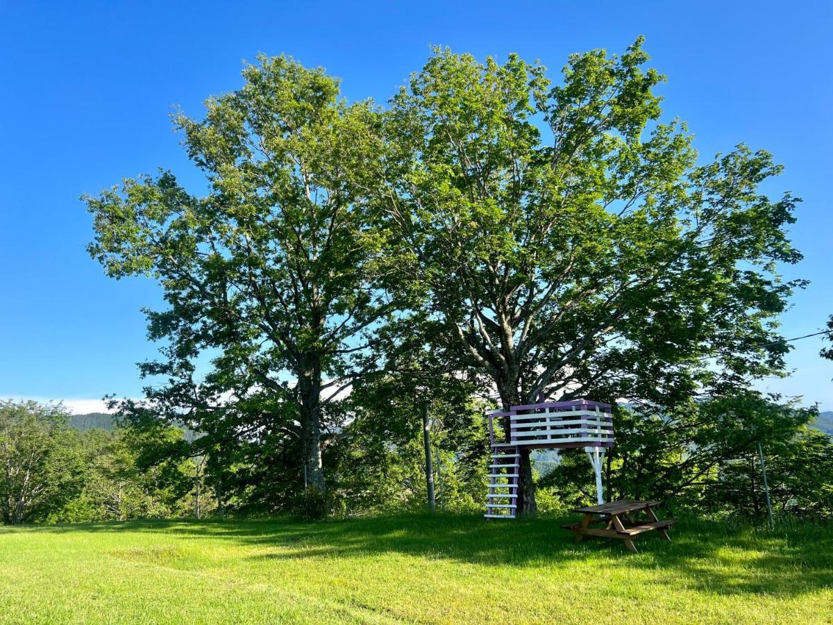 Agriturismo Il Serrino San Marcello Pistoiese Eksteriør billede