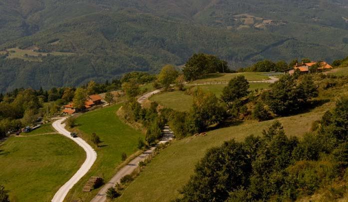 Agriturismo Il Serrino San Marcello Pistoiese Eksteriør billede